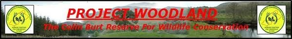 Project Woodland