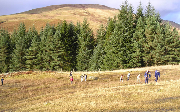 Wigwams 2003