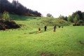 Cub Camp 2004