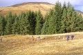 Wigwams 2003