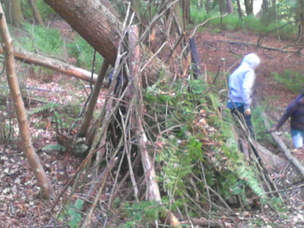 2015-06-08 Scout Bivies Townhill Woods