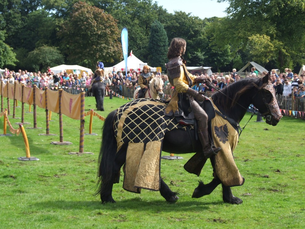 Bruce Festival