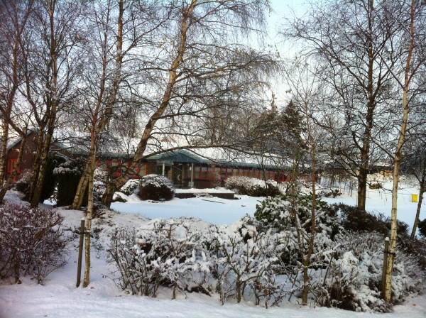 Snow Nov 2010