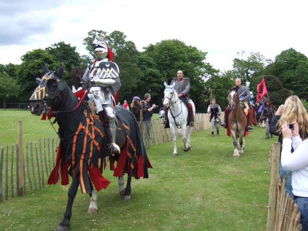 Bruce Festival